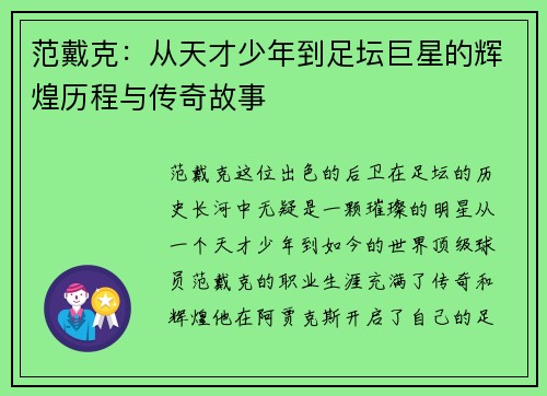范戴克：从天才少年到足坛巨星的辉煌历程与传奇故事